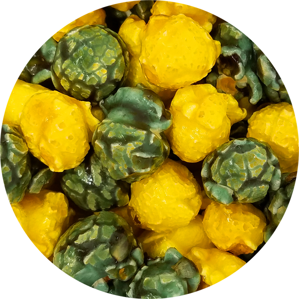Green and Yellow - Mini Size with custom labels