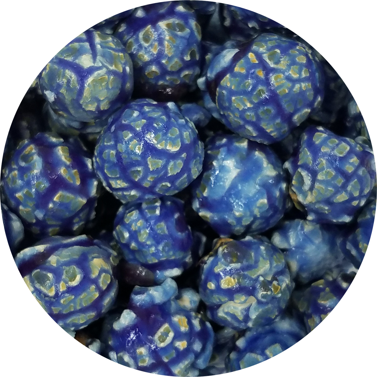 Blueberry_use_this_one_8d5938c