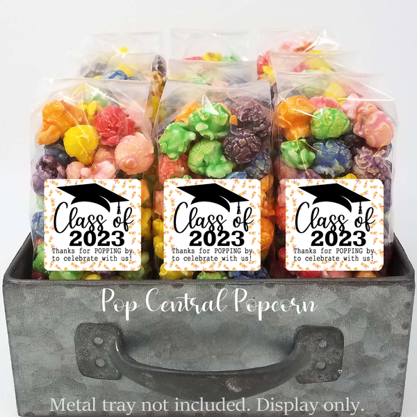 Class of 2023 "Diplomas" Graduation Party Favor Bags