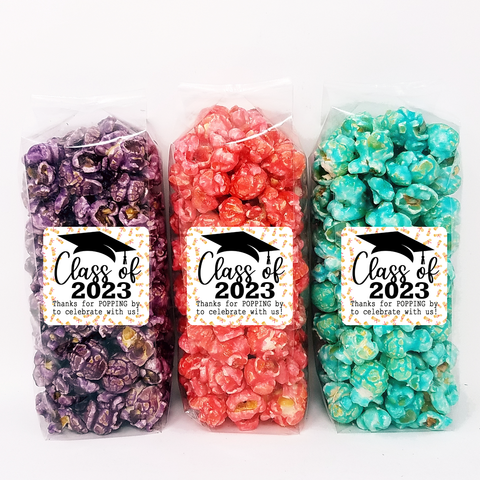 Class of 2023 "Diplomas" Graduation Party Favor Bags