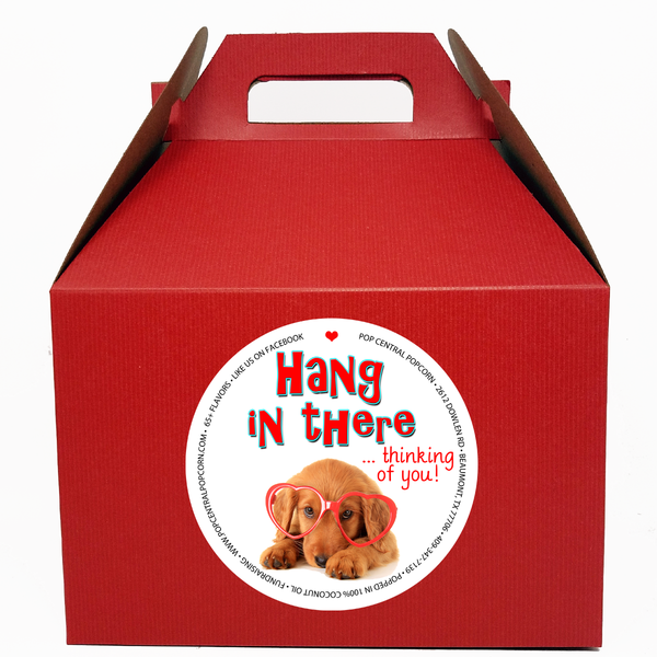 Hang In There - Variety 6 Pack - Mini Bags