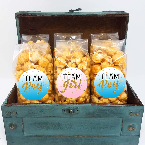 Team Girl - Team Boy - Gender Reveal Popcorn Favors